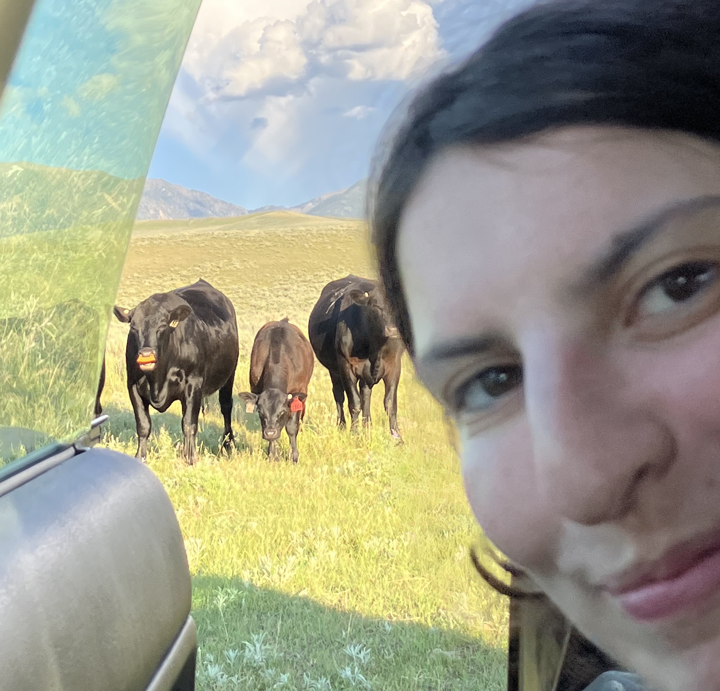 alt: Me with cows saying hello in the background. I am proud to be from Montana!